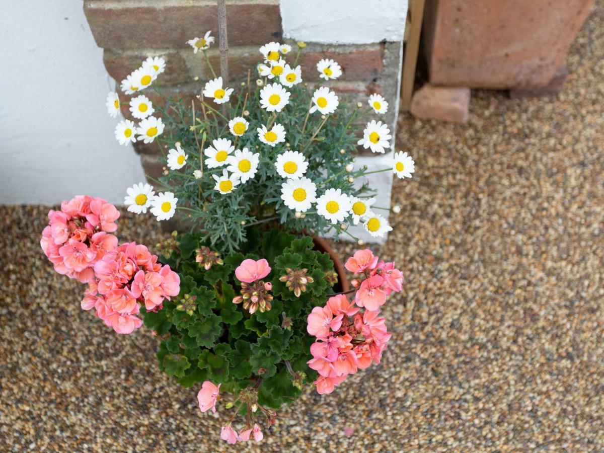 Little England Cottage Milborne Saint Andrew Экстерьер фото